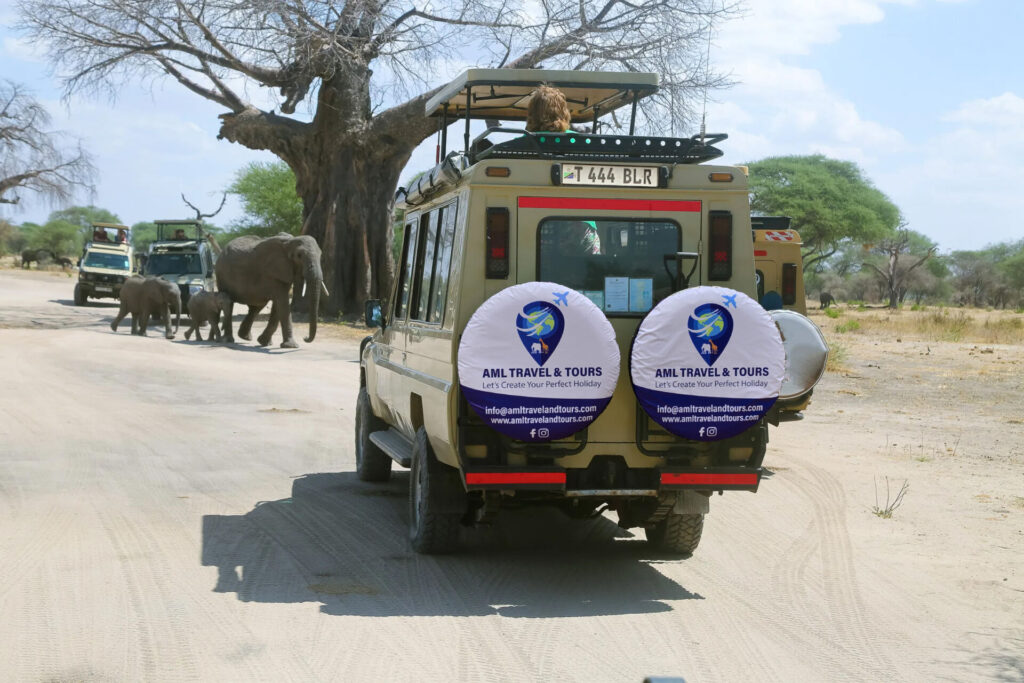 3-Day Tarangire, Ngorongoro & Manyara Safari