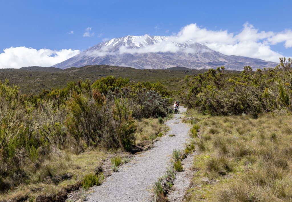 9 Days Hike Lemosho Route